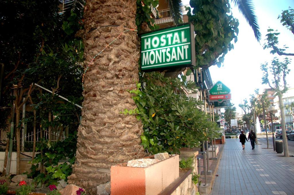 Hostal Montsant Салоу Экстерьер фото